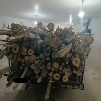 خرید بریدن انواع درخت .چوب