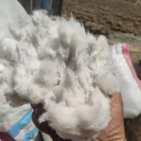 پنبه الیاف پشم لحاف تشک بالش پتو لباس گرم