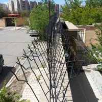 تولیدنرده شاخ گوزنی وحفاظ|خدمات پیشه و مهارت|اراک, |دیوار