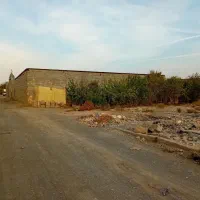 زمین-100مترتوس81علیزاده