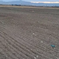 فروش زمین زراعی در زنجان