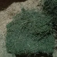 یونجه مخصوص