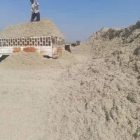 کاه نیشکر جدید جدید امروزی کشت امروز|عمده‌فروشی|ساوه, |دیوار