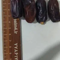 خرما پیاروم بلوچستان|خوردنی و آشامیدنی|تهران, دردشت|دیوار