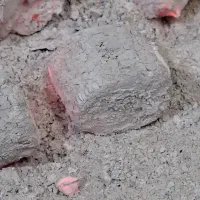 زغال لیمو سکه و مچی|کوهنوردی و کمپینگ|زاهدان, |دیوار