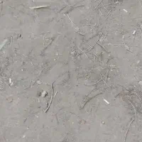 زمین فروشی|فروش زمین و ملک کلنگی|کاشان, ولیعصر|دیوار