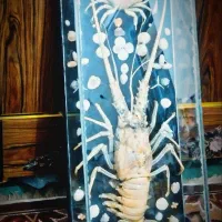 آکواریوم شاه میگو تزیینی