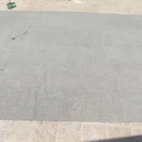 موکت|موکت|تربت‌حیدریه, قاسم آباد|دیوار