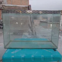 آکواریوم خم