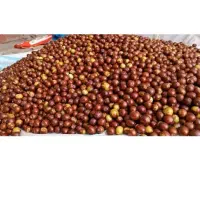 عناب تازه امساله نوبرانه