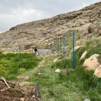 باغبانی یا کارگر برای چیدن علف ها