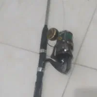 لنسر انتظاری