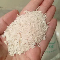 برنج درشت هاشمی شاهقدم 300