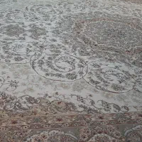 فرش ۱۲ متری مشهد|فرش|قم, شهرک قدس|دیوار