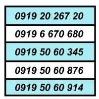 9193040952
