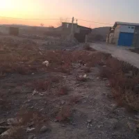 زمین زراعی مرکز شهر|فروش زمین و ملک کلنگی|محمدشهر, یزدیها|دیوار