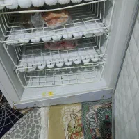 یخچال فروشی|یخچال و فریزر|تایباد, |دیوار