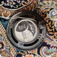 یک میدرنج با یک جفت باند گرد|قطعات یدکی و لوازم جانبی|قم, پشت انبار نفت|دیوار