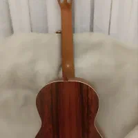 گیتار Parsi P80|گیتار، بیس، امپلیفایر|محمدشهر, همایون ویلا|دیوار