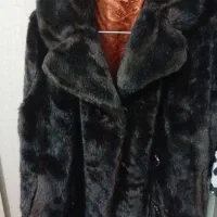 پالتوزنانه انگلیسی