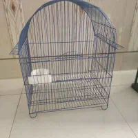 قفس پرنده