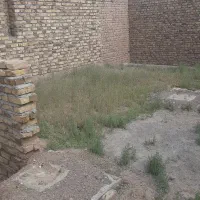 زمین-دلویی