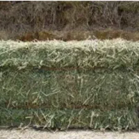 یونجه پرس|لوازم جانبی حیوانات|مشکان, |دیوار