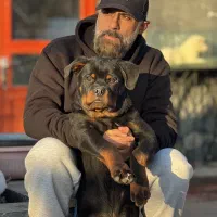 سگ روتوایلر نر