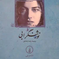 نورثنگر ابی|کتاب و مجله ادبی|قم, لسانی|دیوار