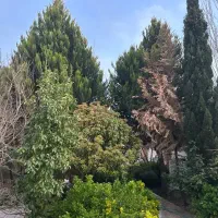 اجاره-روزانه-خونه-باغ-ویلا