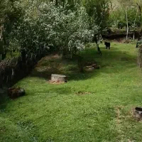 خرید-و-فروش-ملک