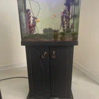 اکواریوم دلسا