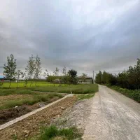 250متر زمین باغات داخل طرح هادی، بر آسفالت|فروش زمین و ملک کلنگی|صومعه‌سرا, |دیوار