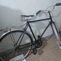 دوچرخه فونیکس لاکاغذی