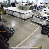 دعوت به همکاری برای بخش برش ، انبار ، وسط کاری ،