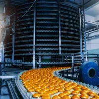 کاگر ساده و ماهر و حراست کارخانه کیک و کلوچه