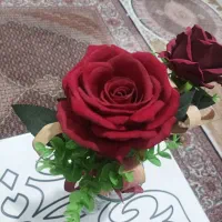 گل و گلدان|گل مصنوعی|ارومیه, |دیوار