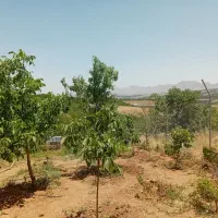 باغ