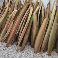 دول با کیفیت و تازه