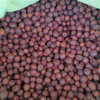 فروش کلی و جزئ عناب در بیرجندومشهد|خوردنی و آشامیدنی|مشهد, شهید بهشتی|دیوار