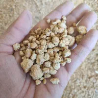 جو خارجی داخلی سویا گندم