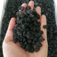 مغز و آجیل|خوردنی و آشامیدنی|تهران, مجیدیه|دیوار