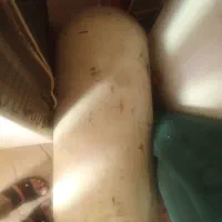 کپسول گاز cnj پژو