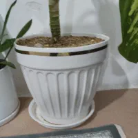 روروک وگلدان|تخت و صندلی بچه|قروه, |دیوار