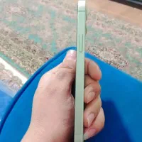 آیفون ۱۲نرمال|موبایل|بم, |دیوار