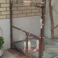 فروش قفس بزرگ مناسب پرنده با کفی گالوانیزه|لوازم جانبی حیوانات|جهرم, |دیوار