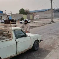 وانت پیکان سالم بدون هیچ عیب با قیمت مناسب۸۰۰۰۰|خودرو سواری و وانت|اهواز, کوی علوی|دیوار