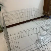 پارک سگ