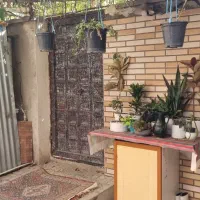اجاره-زیرزمین-مسکونی-شاخه-اصلی-فردیس-حیاط-دار