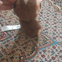 عروسک|اسباب و اثاث بچه|تبریز, |دیوار